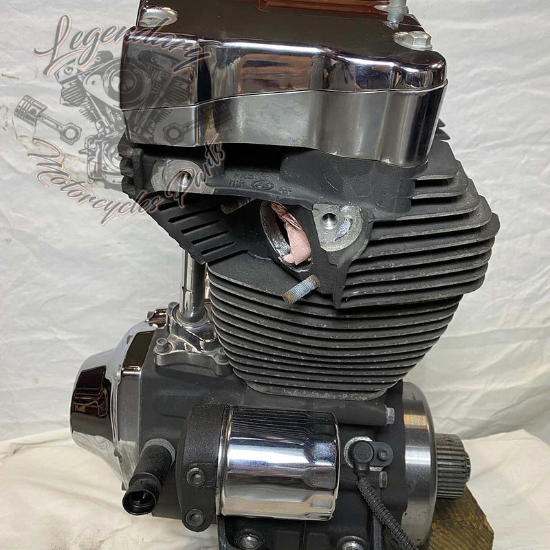 Moteur 1690 (103 ci) OEM 19291-14