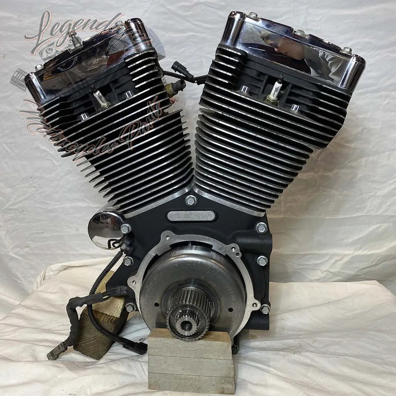 Moteur 1690 (103 ci) OEM 19291-14