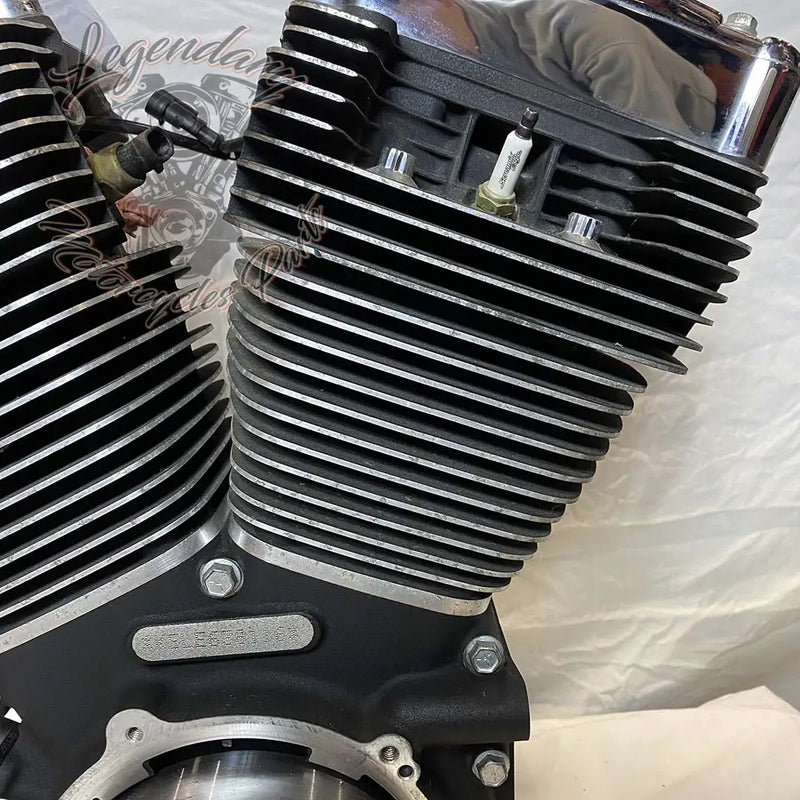 Moteur 1690 (103 ci) OEM 19291-14