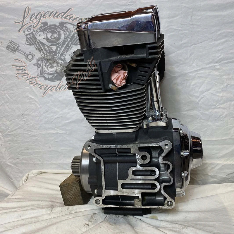 Moteur 1690 (103 ci) OEM 19291-14