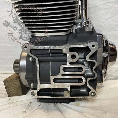 Moteur 1690 (103 ci) OEM 19291-14