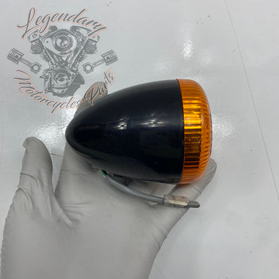 Heckblinker 3in1 OEM 67800214