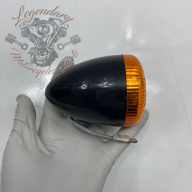 Heckblinker 3in1 OEM 67800214