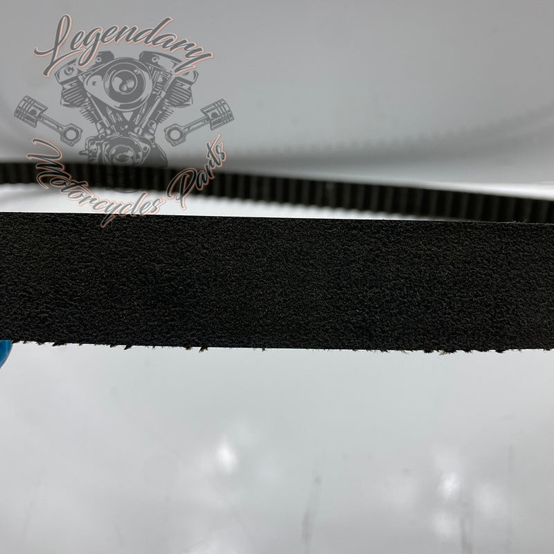 145 Teeth Belt OEM G0500.1AMF