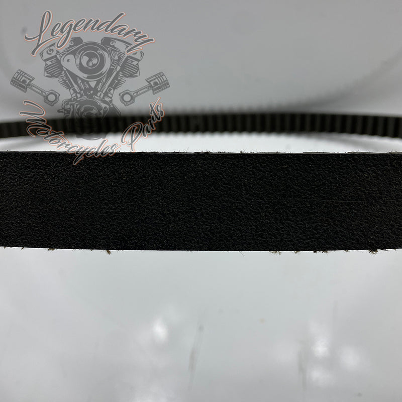 145 Teeth Belt OEM G0500.1AMF