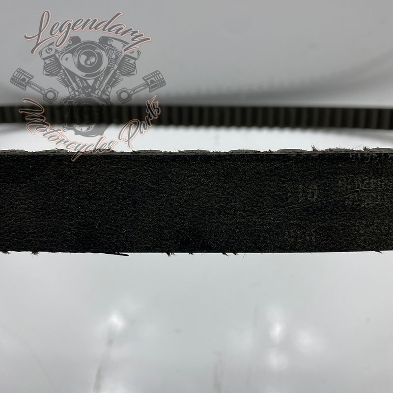 145 Teeth Belt OEM G0500.1AMF