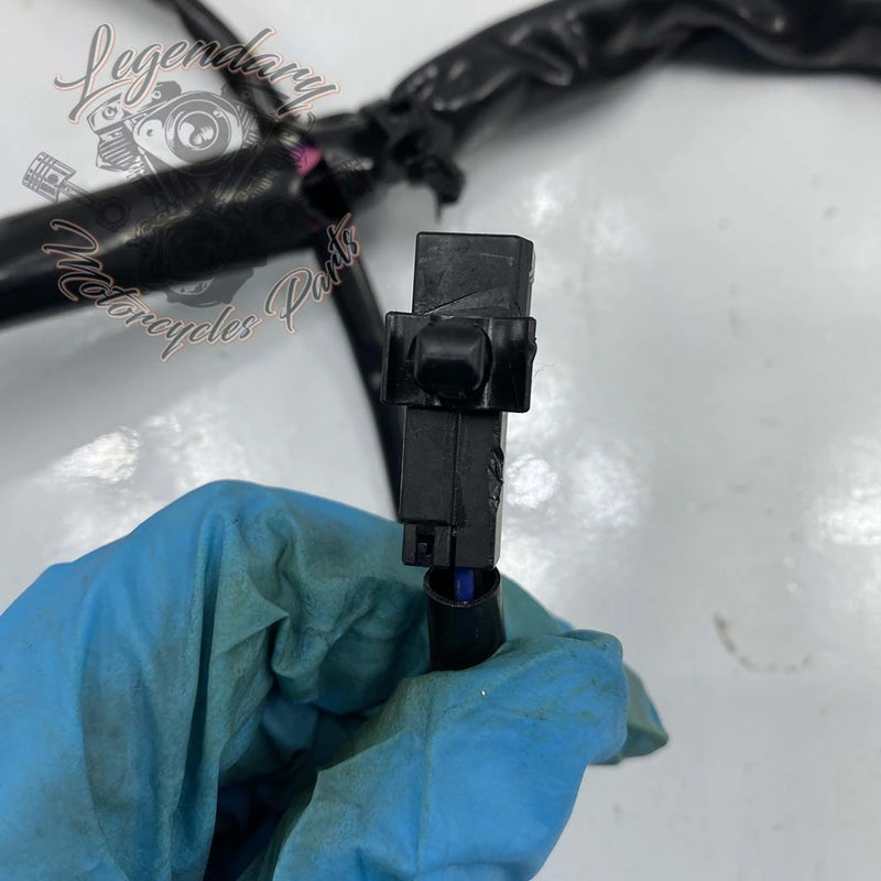 Fascione interno della carena OEM 69200121