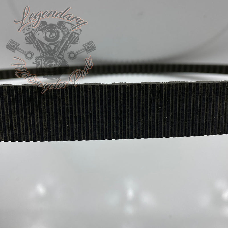 Riemen 137D OEM 40591-07