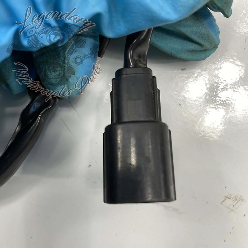 Fascione interno della carena OEM 69200121