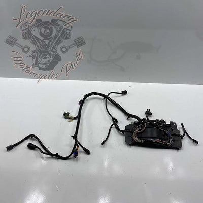 Fascione interno della carena OEM 69200121