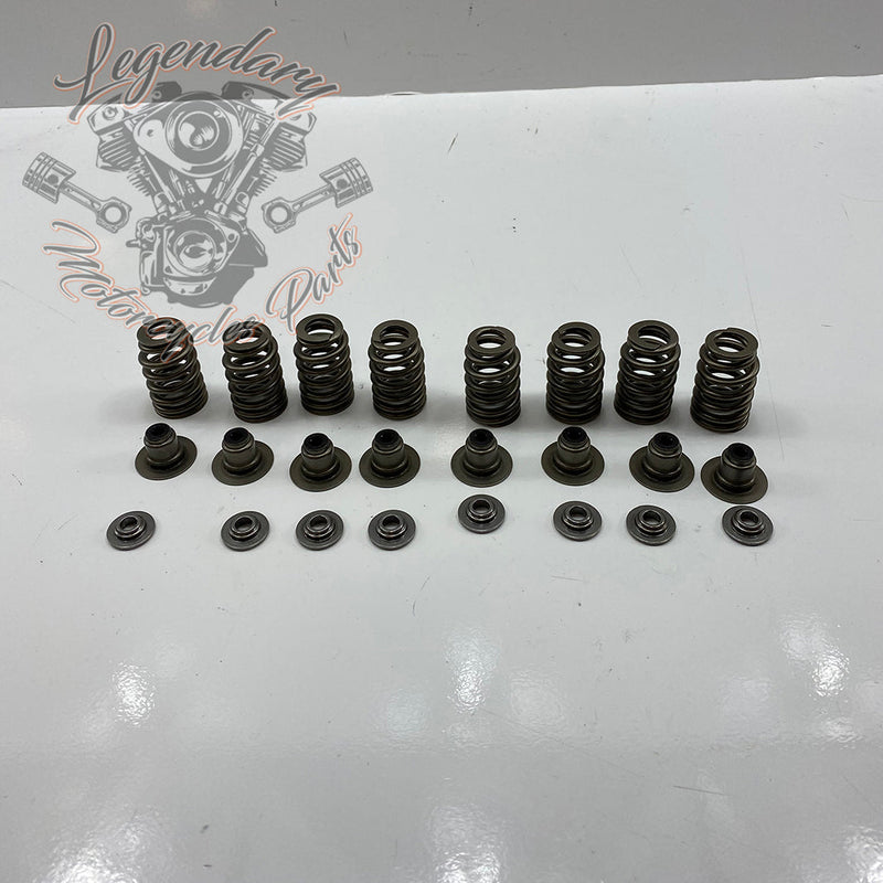 Valve Springs OEM 18100043