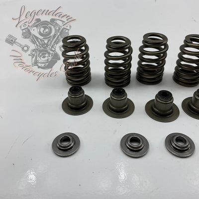 Valve Springs OEM 18100043
