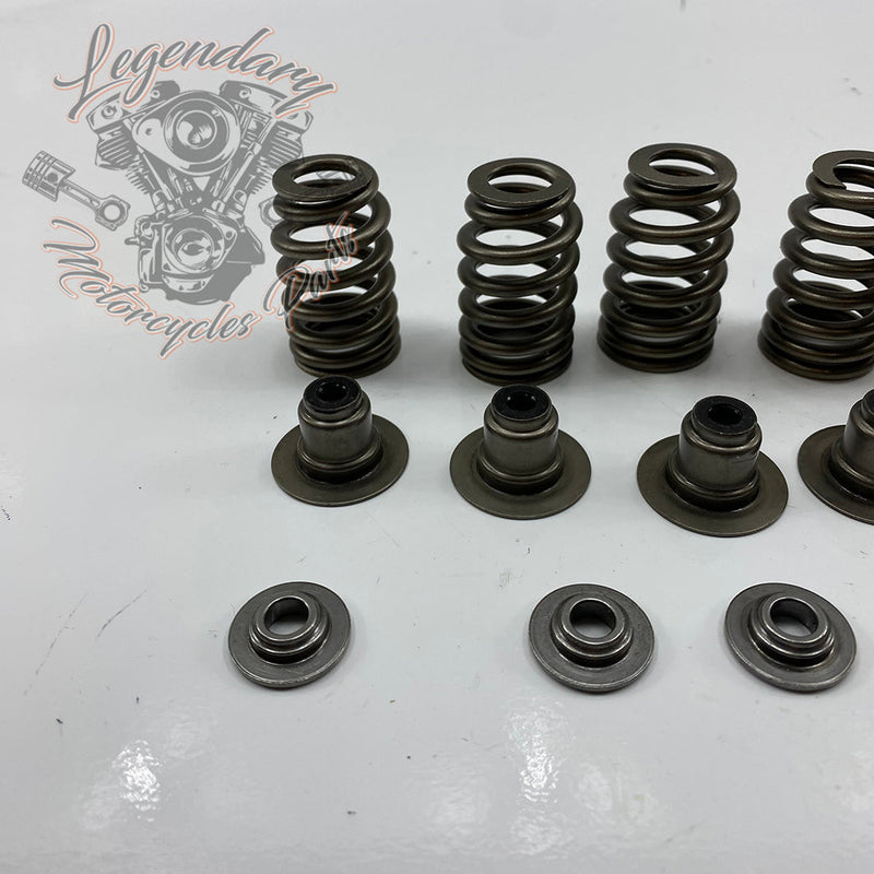 Valve Springs OEM 18100043