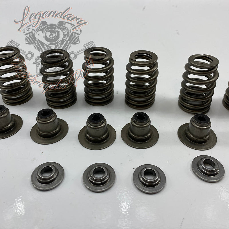 Valve Springs OEM 18100043