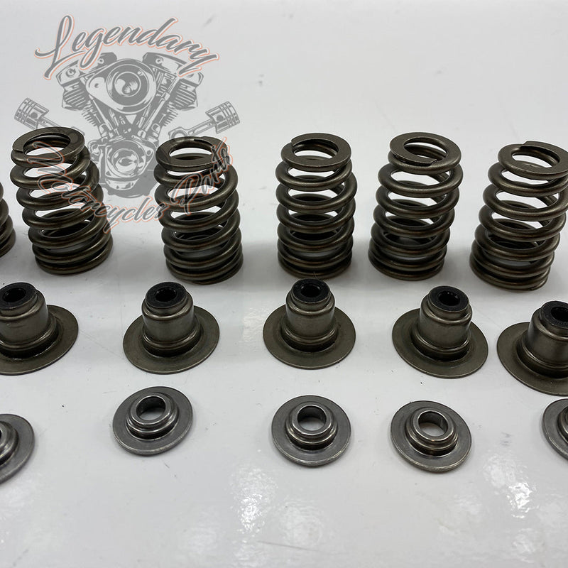 Valve Springs OEM 18100043