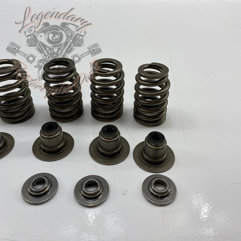 Valve Springs OEM 18100043
