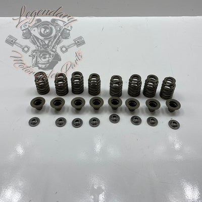 Valve Springs OEM 18100043