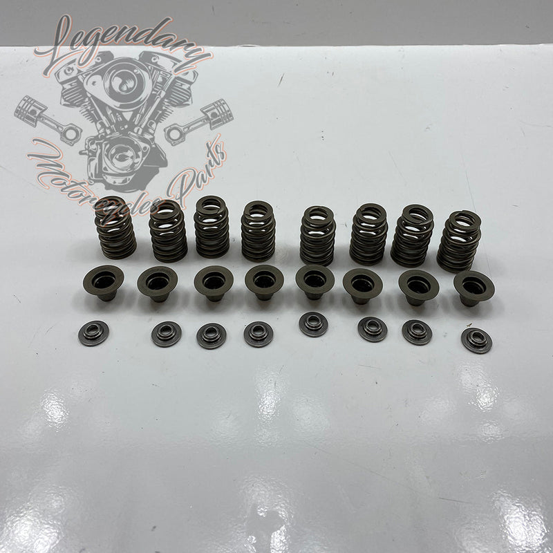 Valve Springs OEM 18100043
