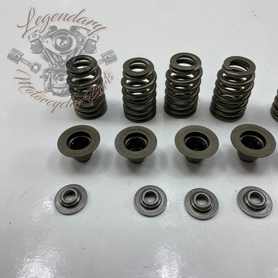 Valve Springs OEM 18100043