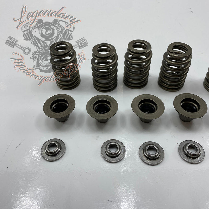 Valve Springs OEM 18100043