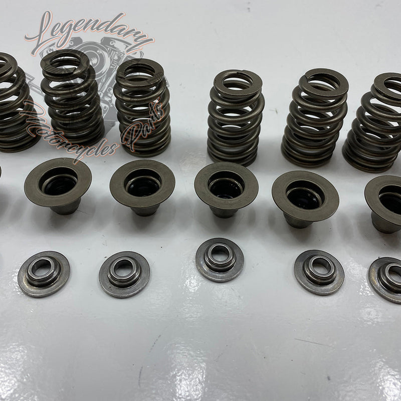 Valve Springs OEM 18100043