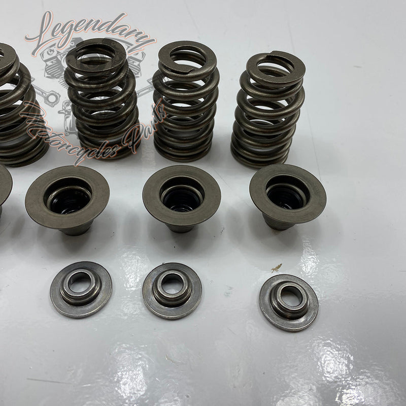 Valve Springs OEM 18100043