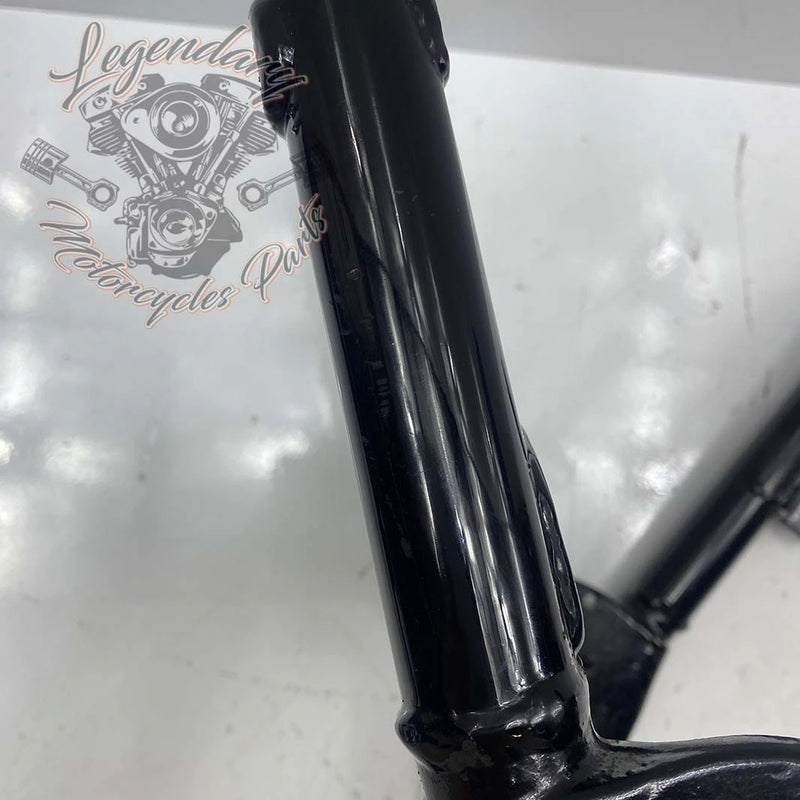 Rear Frame OEM 48079-09BHP