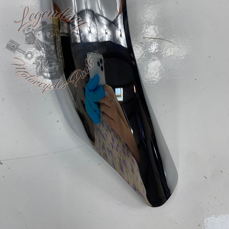 Kollektor-Hitzeschutz vorne OEM 65110-01