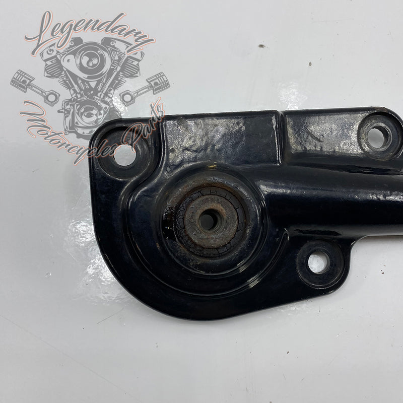 Supporto di scarico OEM 66777-07