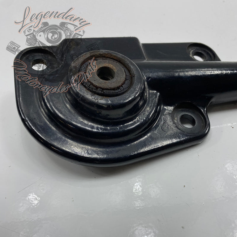 Supporto di scarico OEM 66777-07