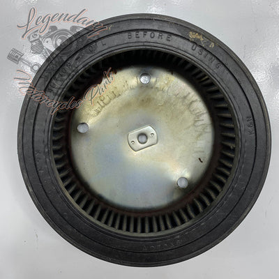 Elemento filtrante Réf. A070A8
