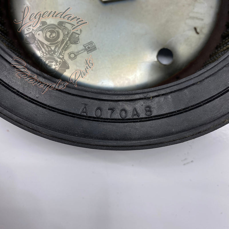 Elemento filtrante Réf. A070A8