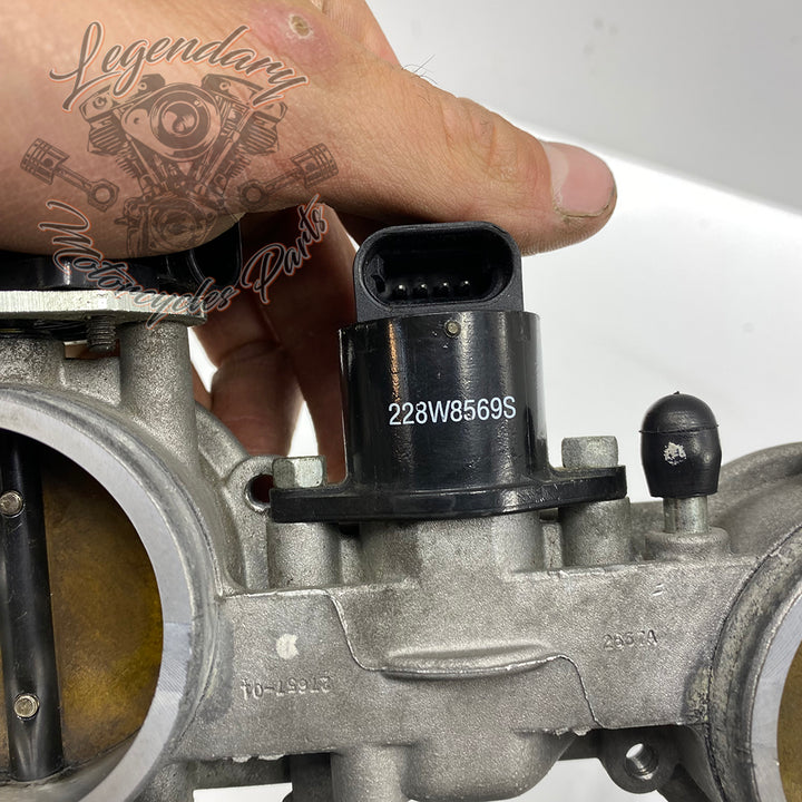 OEM Injection Body 27657-01 – Legendary Parts