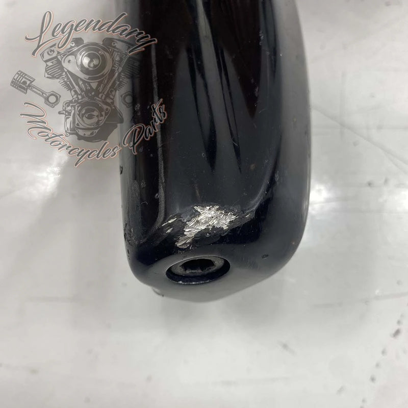 Left Highway Peg Mount and Rest OEM 50500168