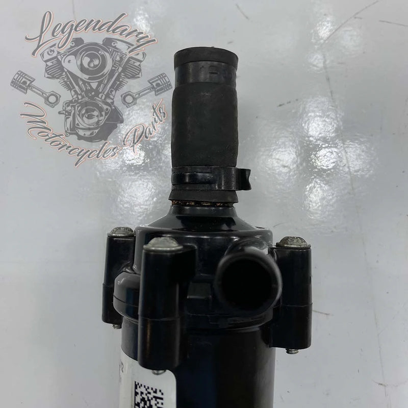 Pompa del liquido di raffreddamento OEM 26600012
