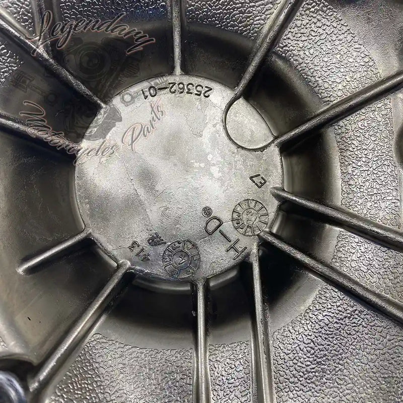 Timing Cover OEM 25362-01B (25369-01B)