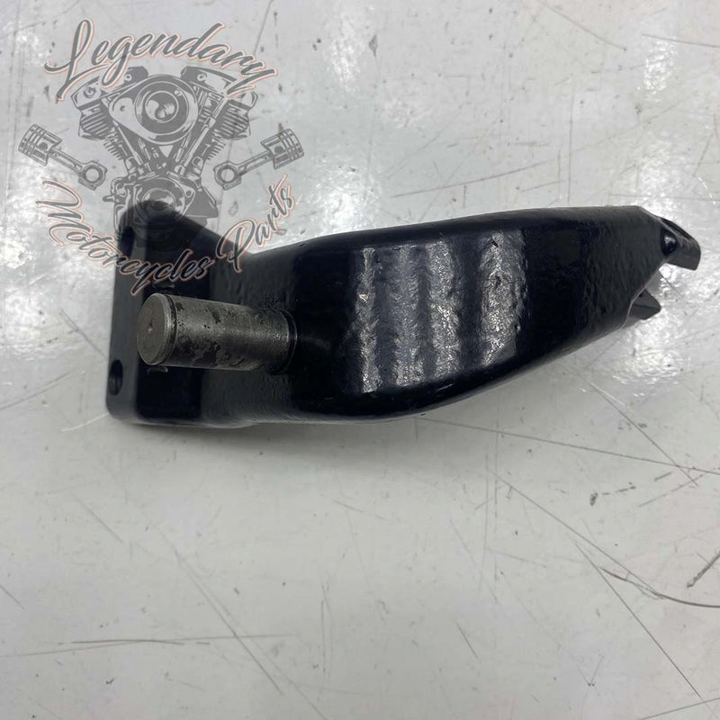 Right Driver Foot Rest Support OEM 50666-07