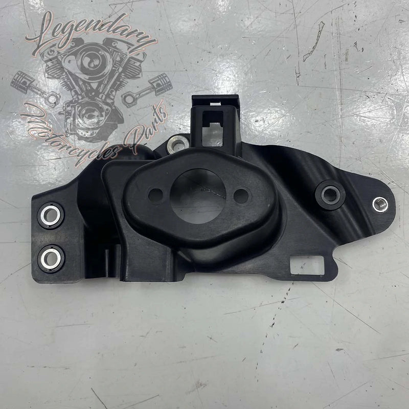 Cache latéral gauche OEM 69202511