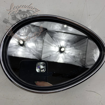 Right Rearview Mirror