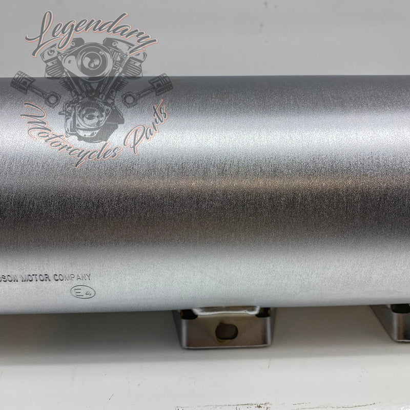 Street Cannon Silencer OEM 64900642