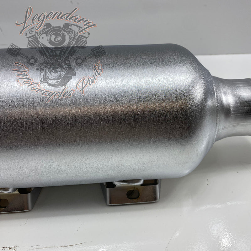 Street Cannon Silencer OEM 64900642