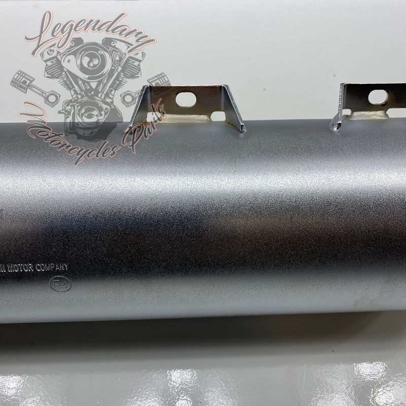 Street Cannon Silencer OEM 64900642