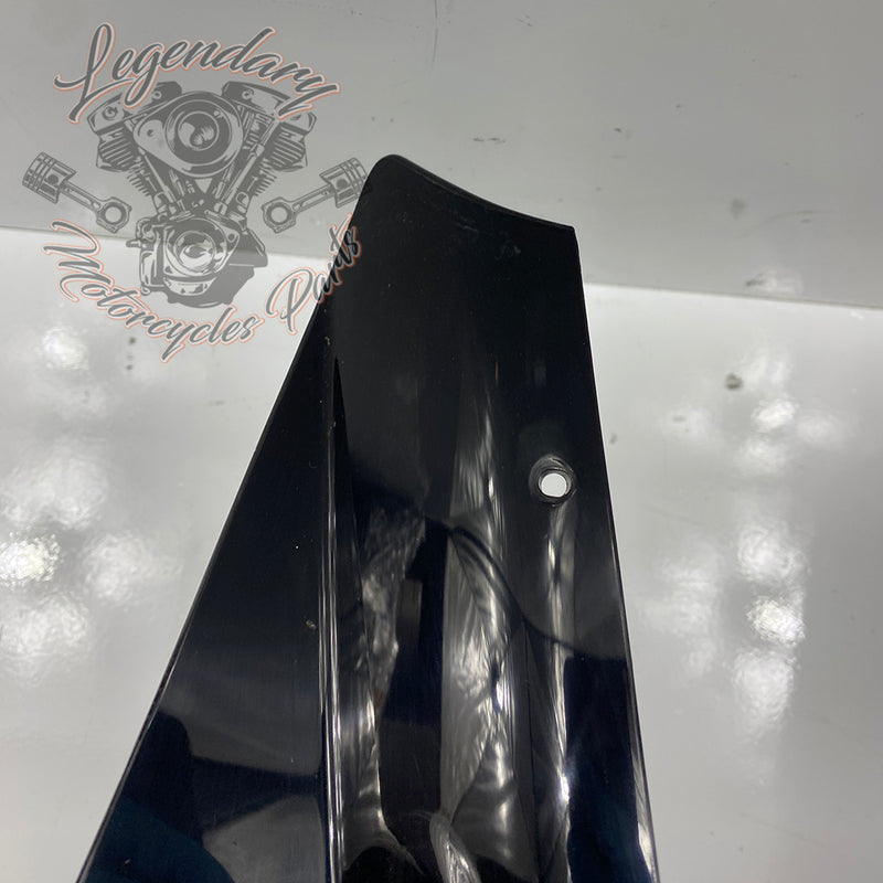 Outer Fairing OEM M1646.1AMMW