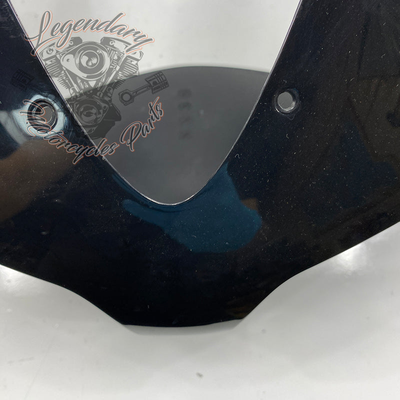 Outer Fairing OEM M1646.1AMMW