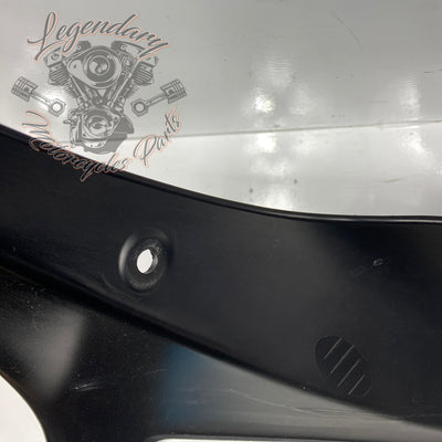 Outer Fairing OEM M1646.1AMMW