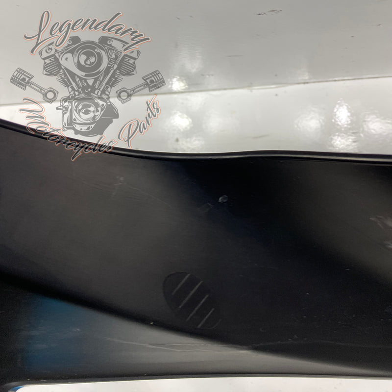 Outer Fairing OEM M1646.1AMMW
