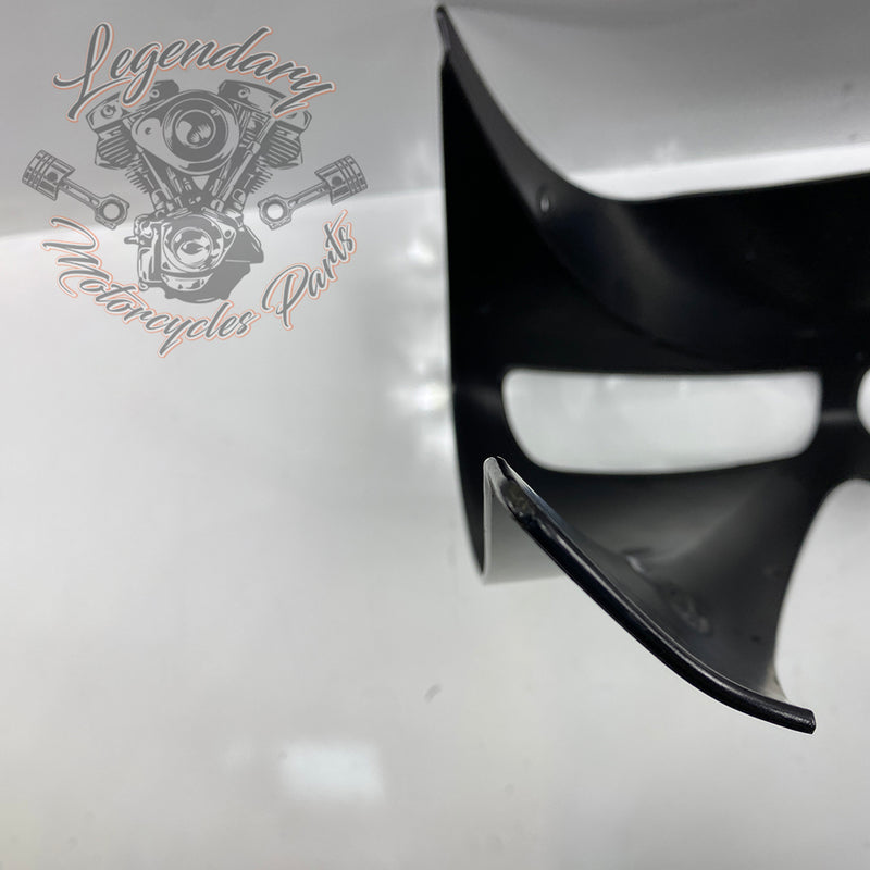 Outer Fairing OEM M1646.1AMMW