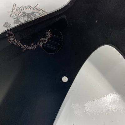 Outer Fairing OEM M1646.1AMMW