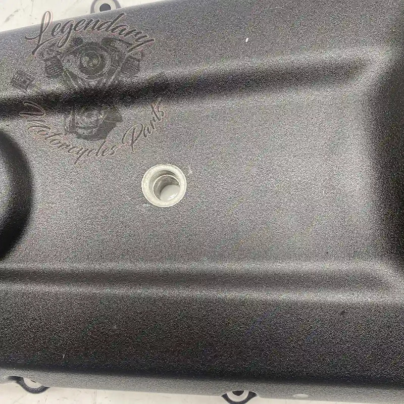 Primary Cover OEM 25700941