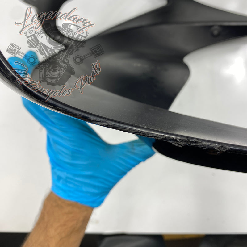 Outer Fairing OEM M1646.1AMMW